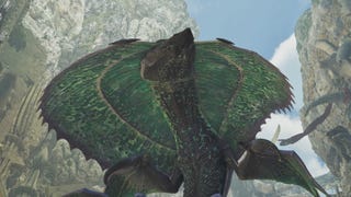 monster hunter wilds hirabami wounded hollow