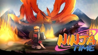 Ninja Time codes March 2025